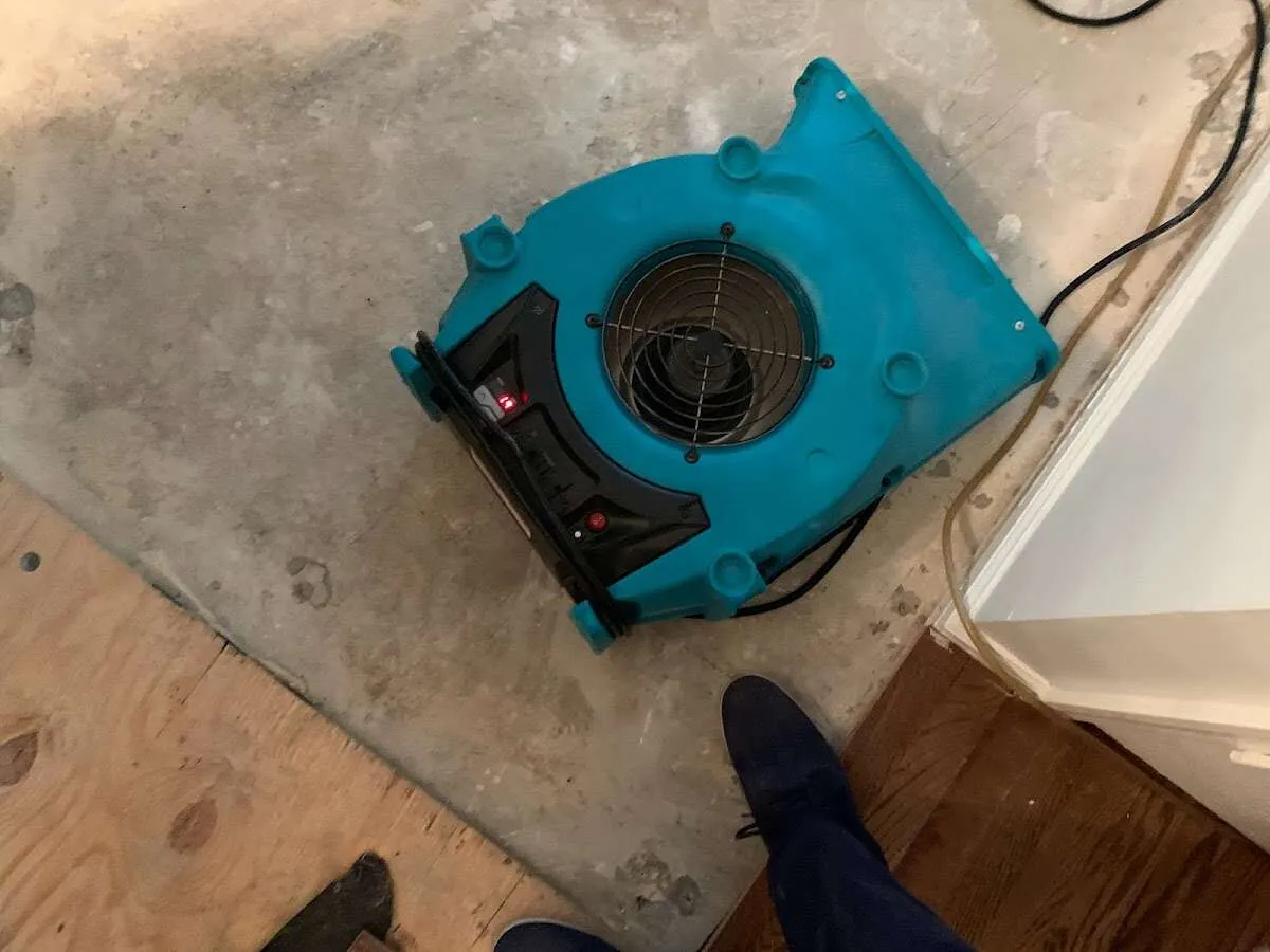 Air mover drying subfloor during Commercial Water Damage Restoration in Floral Park